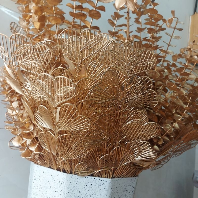 ĐUÔI CÔNG - NHÁNH TÁO- RẺ QUẠT NHŨ TRANG TRÍ CHẬU ĐÀO ĐÔNG