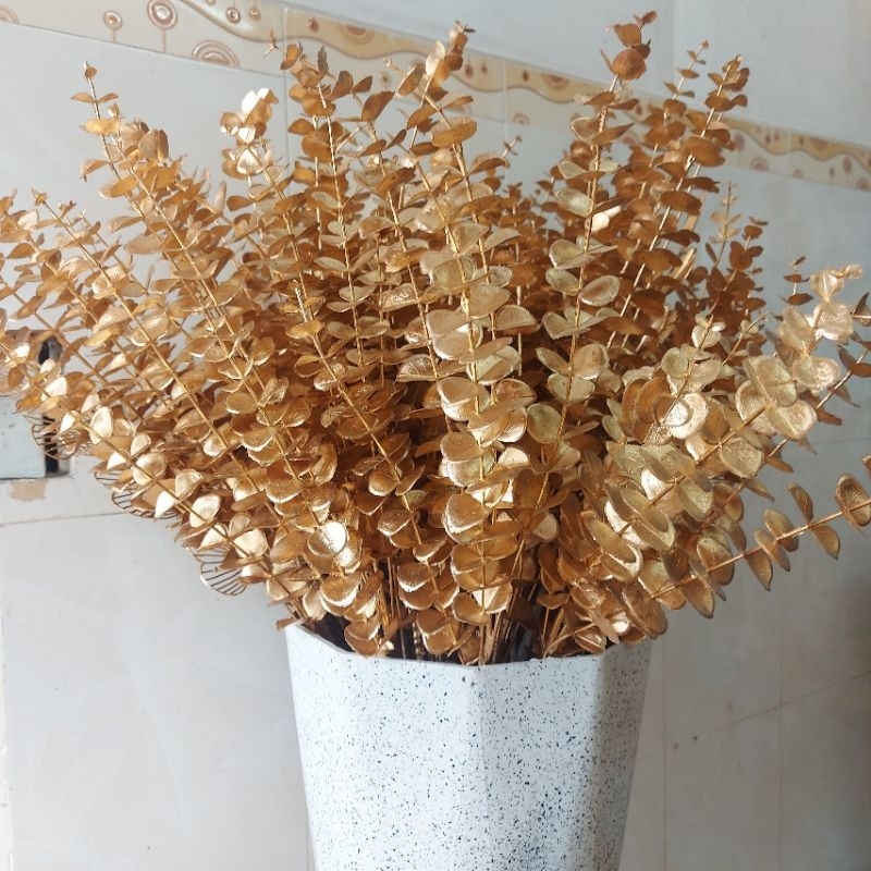 ĐUÔI CÔNG - NHÁNH TÁO- RẺ QUẠT NHŨ TRANG TRÍ CHẬU ĐÀO ĐÔNG