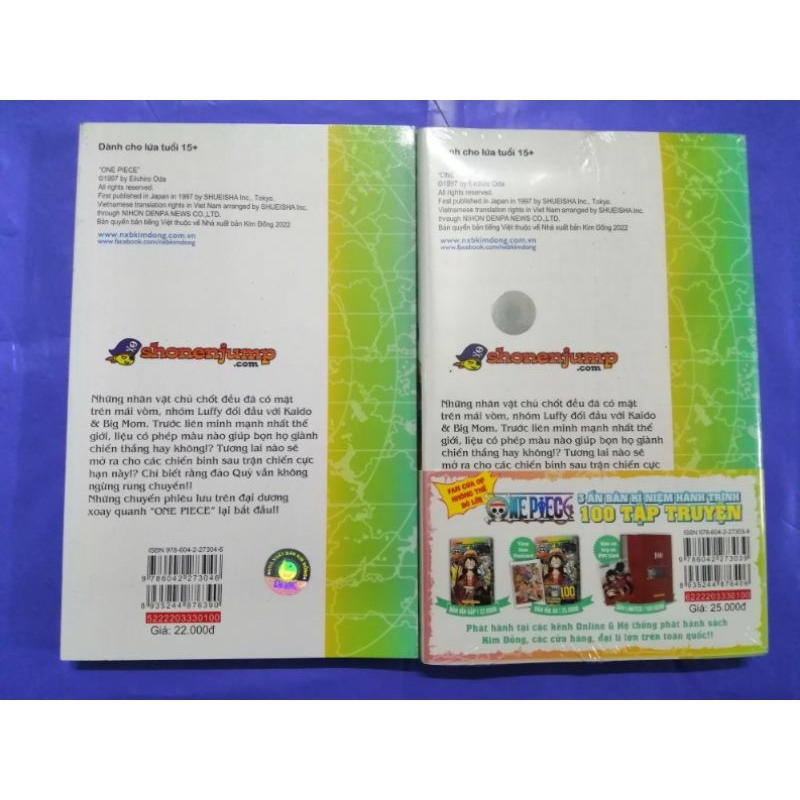 Bưu Thiếp One Piece 100