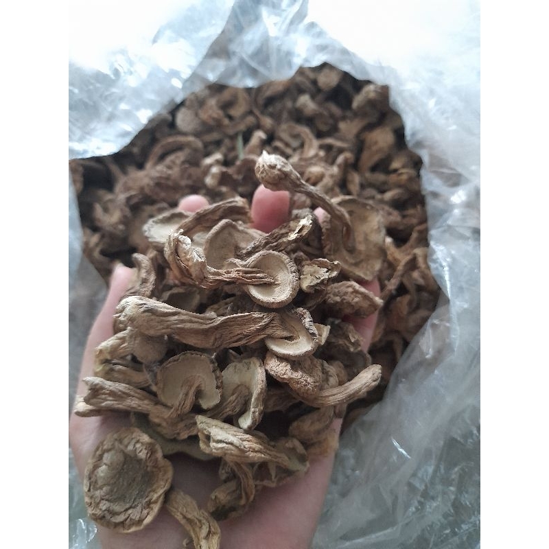 Nấm tràm khô sỉ