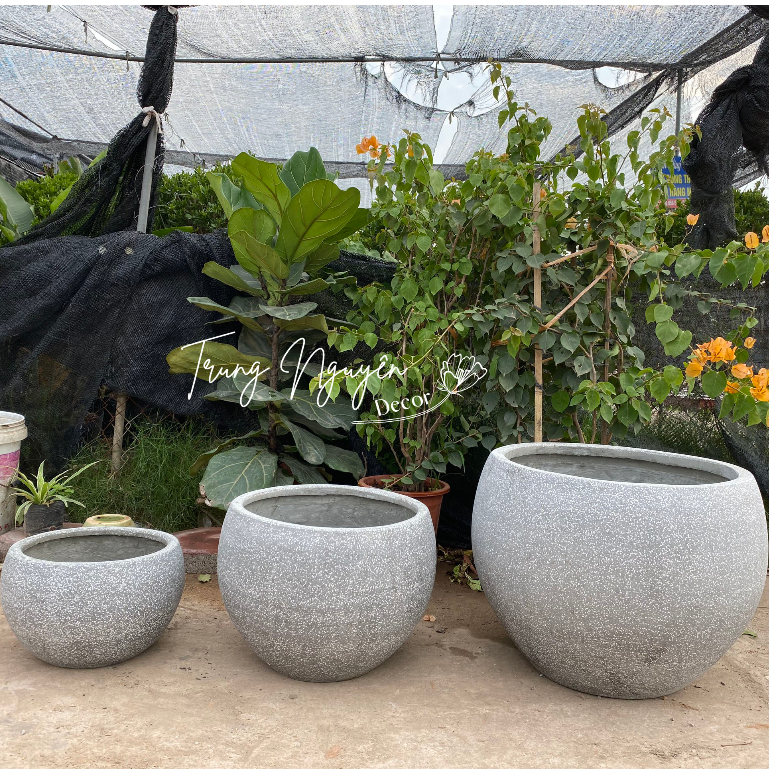 Chậu Đá Mài Hình Trứng Thấp