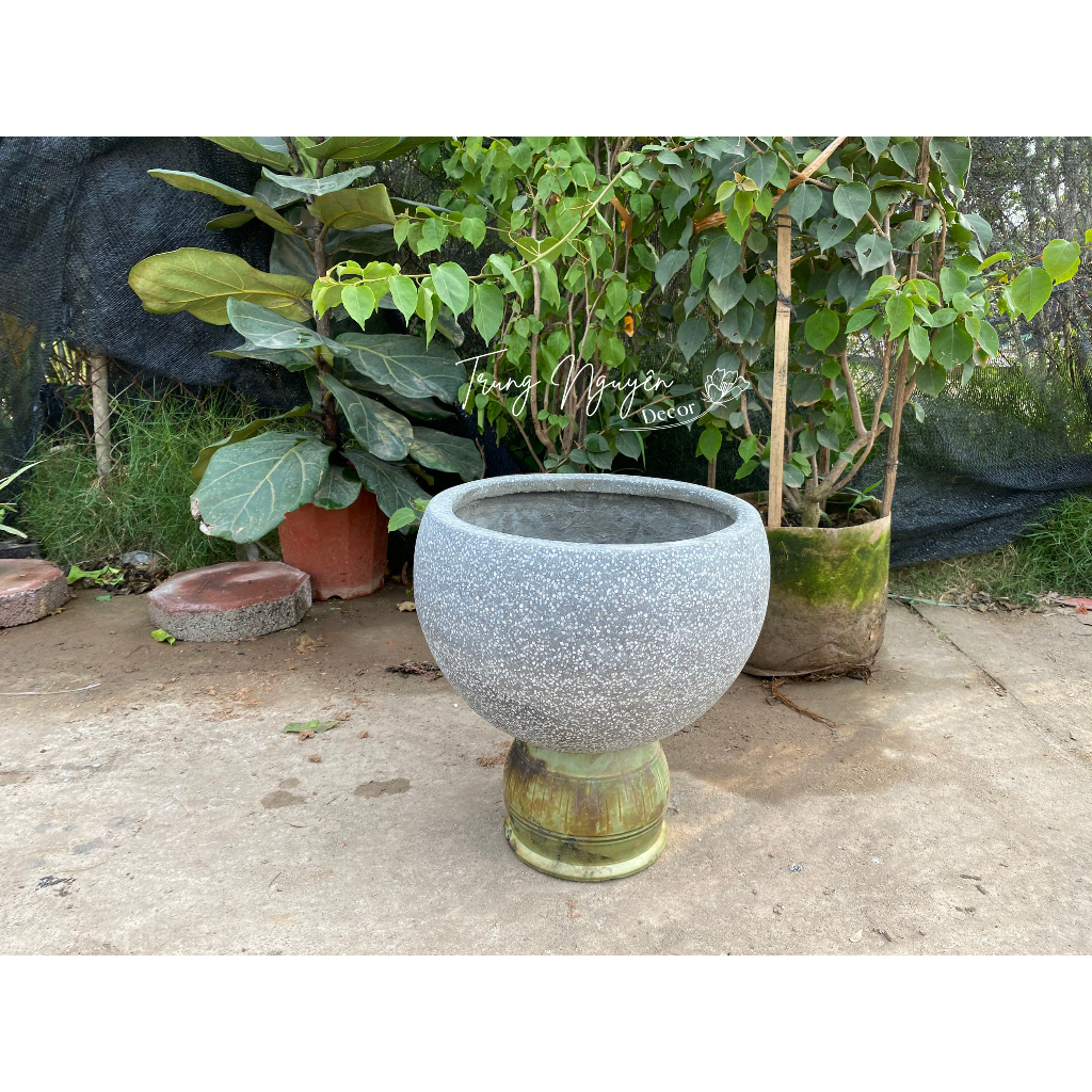 Chậu Đá Mài Hình Trứng Thấp