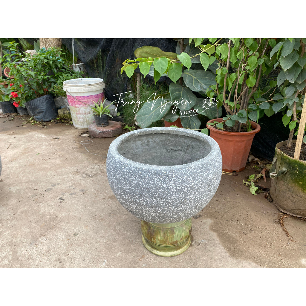 Chậu Đá Mài Hình Trứng Thấp