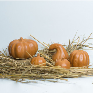 Bí Đất Nung Trang Trí Halloween - Halloween Pumpkin