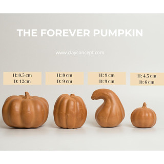 Bí Đất Nung Trang Trí Halloween - Halloween Pumpkin