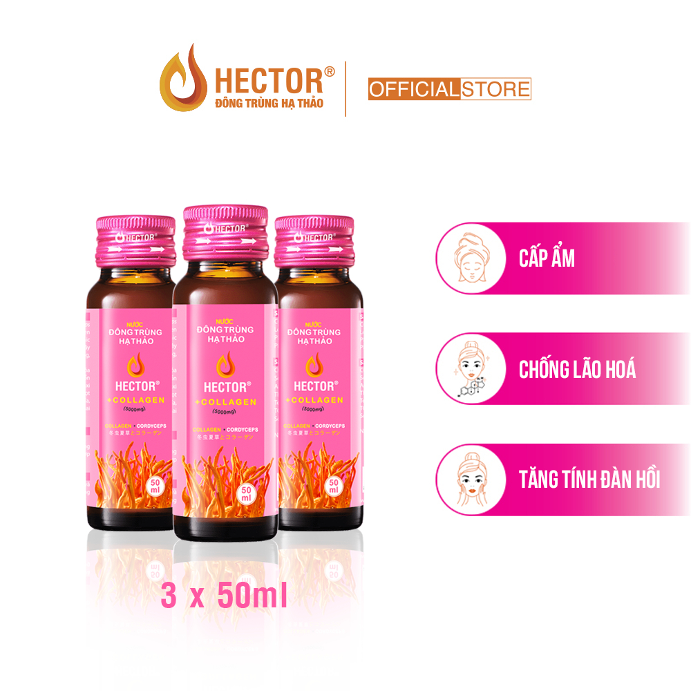 Combo 3 chai nước Đông Trùng Hạ Thảo HECTOR Collagen chống lão hóa, da ẩm mượt