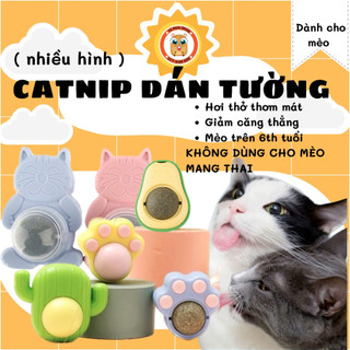 Kẹo cỏ bạc hà hình bơ, mèo, bông hoa, chân mèo,....dành cho mèo