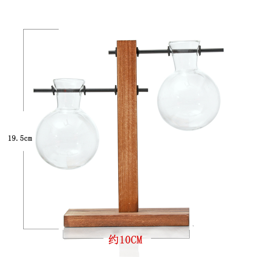 Bình thủy sinh kèm giá đỡ gỗ chữ L, chữ T bộ đơn, đôi Ráp dùng để trang trí bàn làm việc, phòng khách, quà tặng