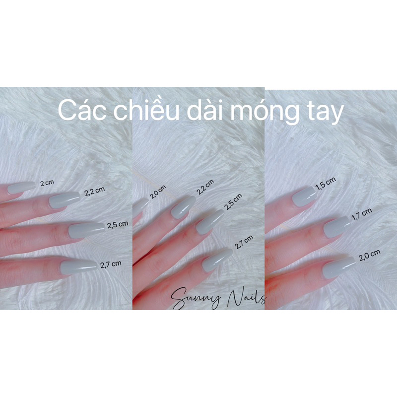 Nail box thiết kế mắt mèo vẽ gel