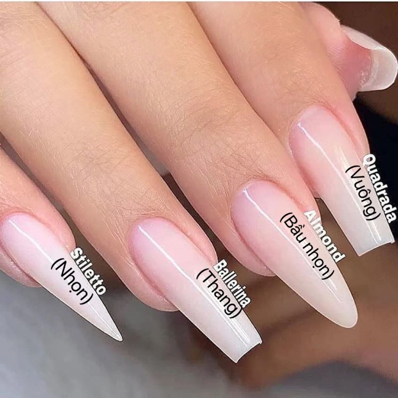 Nail box thiết kế mắt mèo vẽ gel