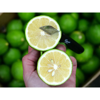[Chỉ Giao HCM] Chanh Có Hạt - 500g