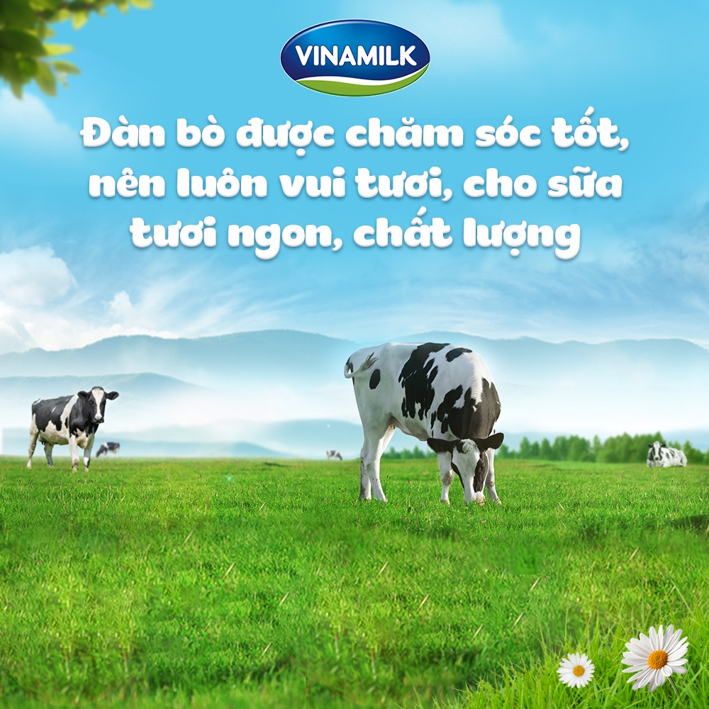 Thùng 48 hộp sữa tươi tiệt trùng Vinamilk 100% có đường 110ml