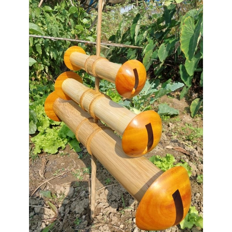 Sáo diều D70 chỉ tranh