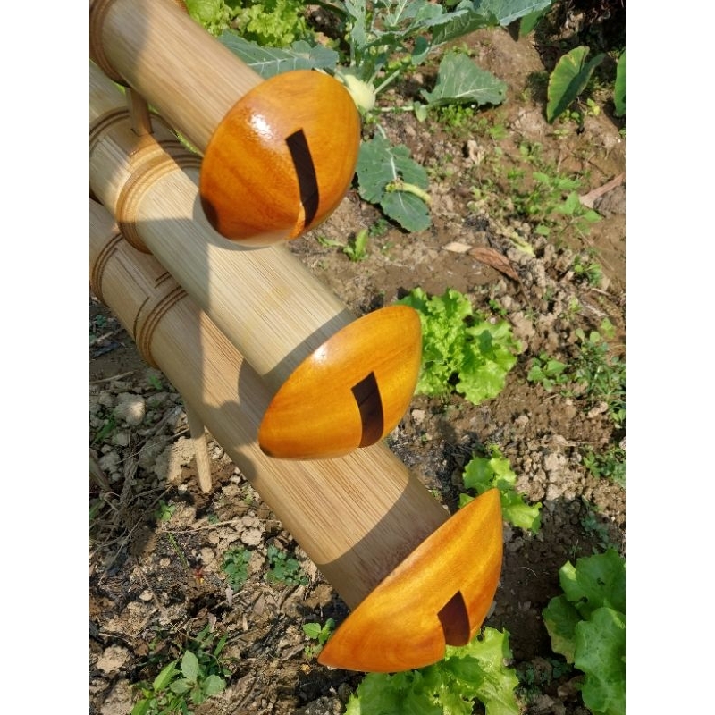 Sáo diều D70 chỉ tranh