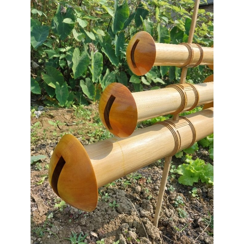 Sáo diều D70 chỉ tranh