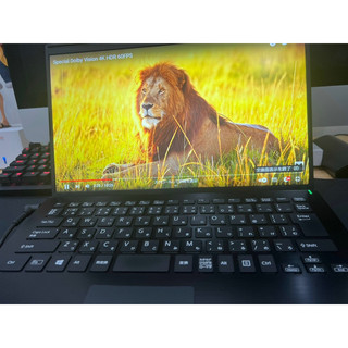 Vaio Pro PG Core i5-8250U