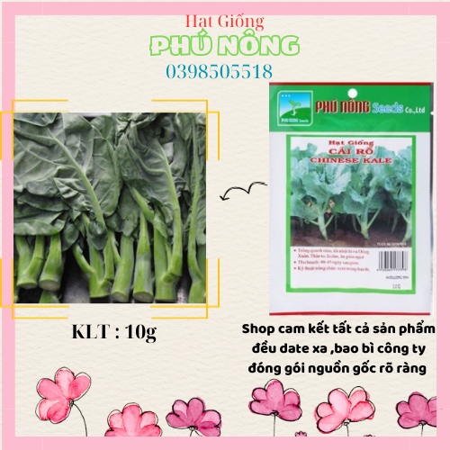 Hạt Giống CẢI RỔ ( CẢI LÀN ) PHÚ NÔNG 10gr CHẤT LƯỢNG CAO