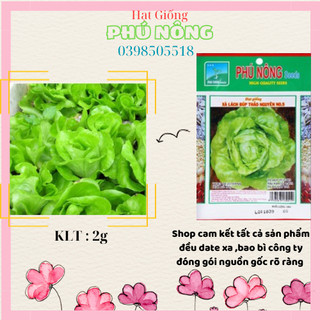 Hạt Giống Xà Lách Búp Thảo Nguyên No.5 Phú Nông - Gói 2g