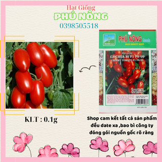 Hạt Giống Cà Chua Bi F1 PN-99 Phú Nông - Gói 0.1g