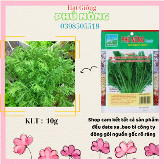 HẠT GIỐNG CẢI NGỌT ĐUÔI PHỤNG 10GR