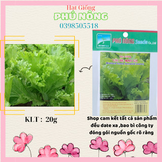 Hạt Giống Cải Bẹ Mào Gà Phú Nông - Gói 20g