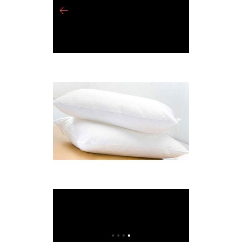 Đôi ruột gối 2 cái bông sơ trắng cao cấp vải phin
