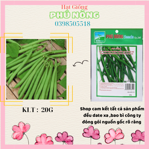 HẠT GIỐNG ĐẬU COVE BỤI LÙN PHU NONG- 20 Gram