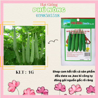 Hạt giống mướp khía Phú Nông gói 1gr