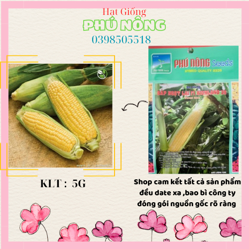 Hạt Giống Bắp Ngọt Lai F1 HighLand 39 Phú Nông - Gói 5g