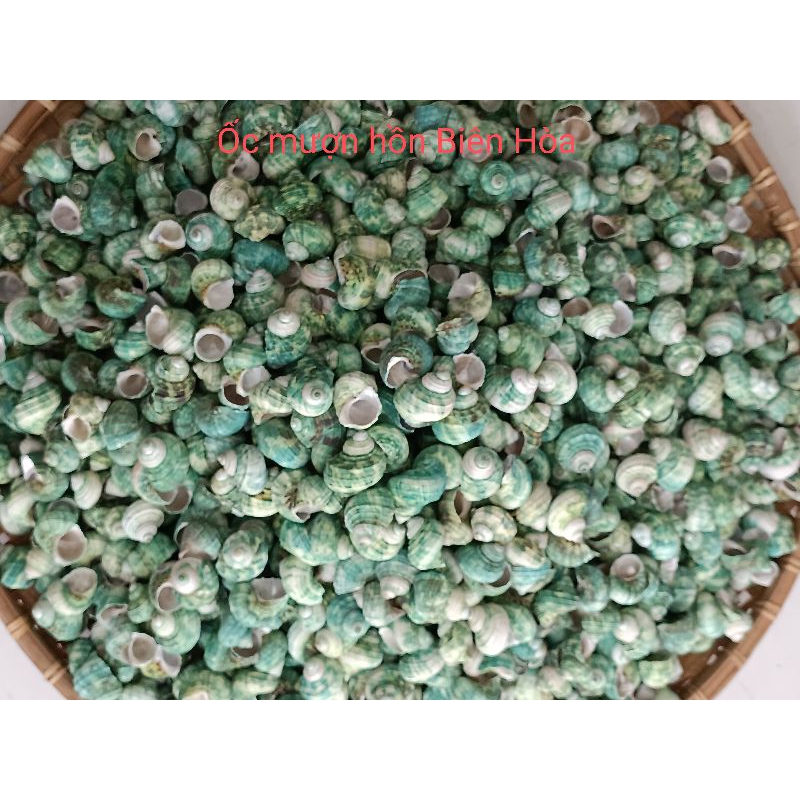 Mua 10 tặng 2 vỏ Baby. OMH BIÊN HÒA