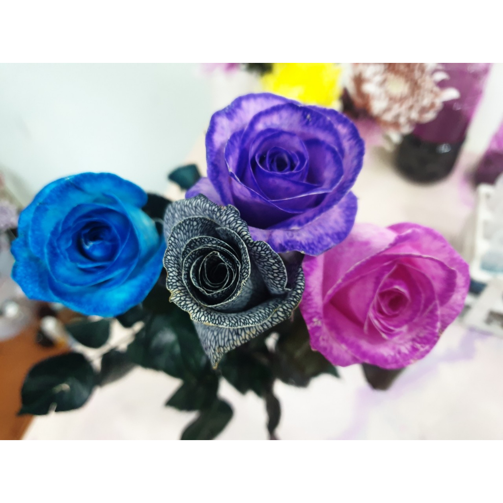 Thuốc nhuộm hoa tươi, màu nhuộm hoa chai 100MLđổi màu theo công nghê Israel, nước nhuộm hoa tươi lên chuẩn màu, tươi hoa