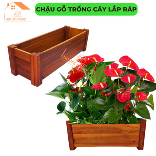 Combo 2 chậu trồng cây mẫu mới đẹp chất liệu gỗ, chậu gỗ trồng hoa, chậu chữ nhật gỗ decor d40xr18xc16 cm