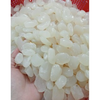 1KG HẠT ĐÁC TƯƠI NON NGON MIX TO- NHỎ