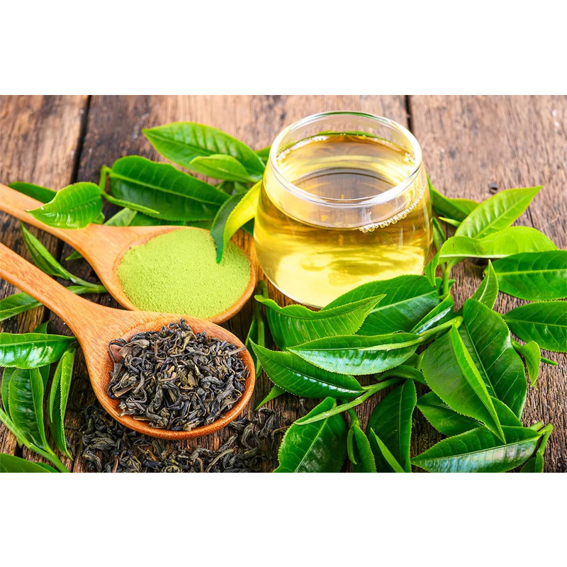 Cây chè xanh  hàng chuẩn đem lại hương vị trà thơm ngon chất lương cao