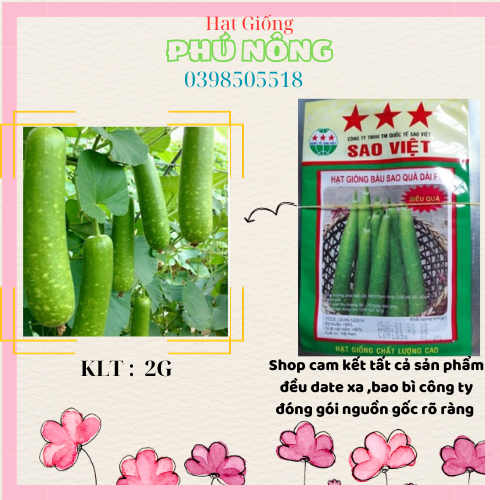 Hạt giống bầu sao quả dài Sao Việt 2gr