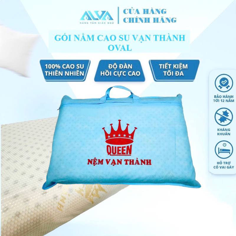 Gối Cao su VẠN THÀNH, gối OVAL kích thước lớn 100% cao su thiên nhiên, mềm - mát - mịn.