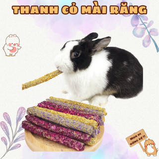 Thanh gặm Timothy, thanh cỏ mài răng cho Bọ Ú Thỏ Cảnh
