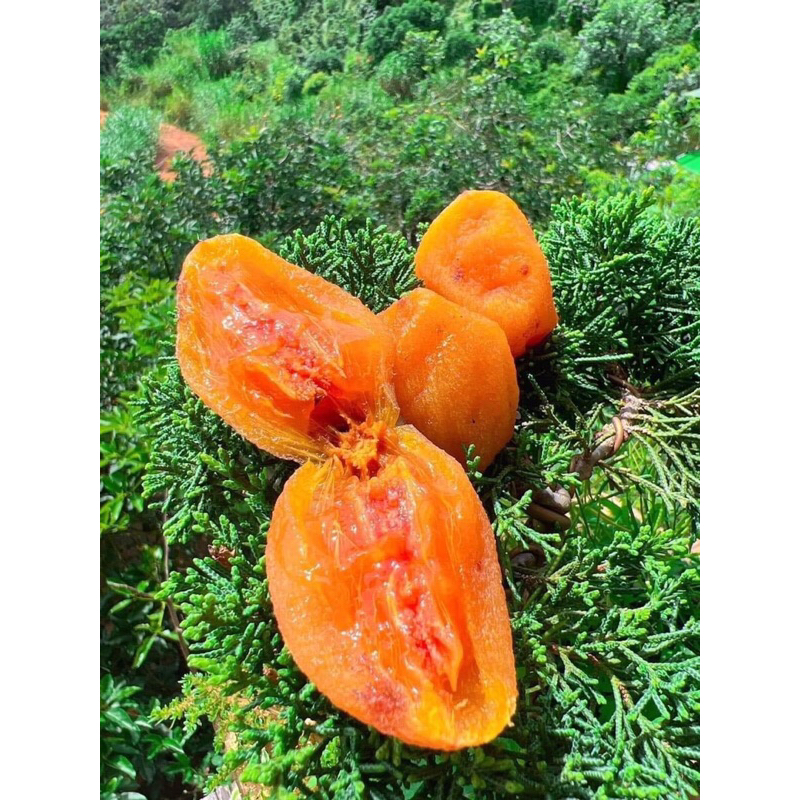 Hồng chén sấy dẻo 500gr - Hồng treo gió 500gr kèm hộp giấy