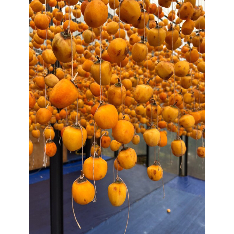 Hồng chén sấy dẻo 500gr - Hồng treo gió 500gr kèm hộp giấy