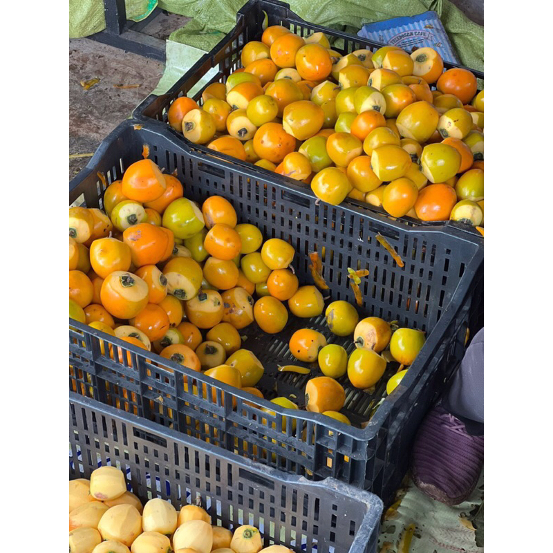 Hồng chén sấy dẻo 500gr - Hồng treo gió 500gr kèm hộp giấy