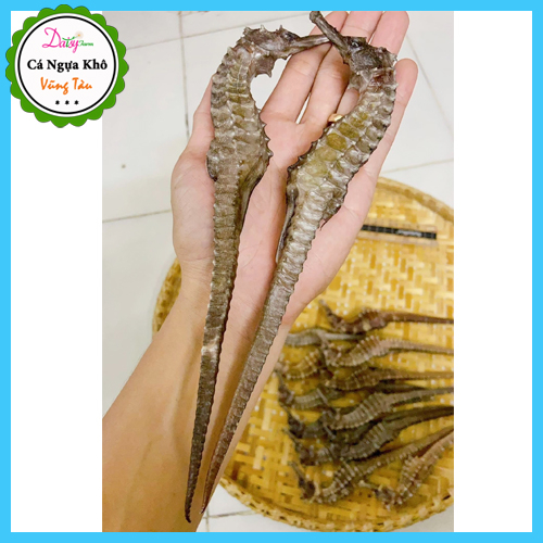 Cá Ngựa Khô Vũng Tàu Size ĐẠI 16 - 20 Cm  do Tàu Cá Nhà Mình Đánh Bắt