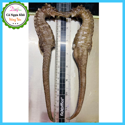 Cá Ngựa Khô Vũng Tàu Size ĐẠI 16 - 20 Cm  do Tàu Cá Nhà Mình Đánh Bắt