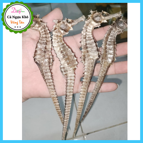 Cá Ngựa Khô Vũng Tàu Size ĐẠI 16 - 20 Cm  do Tàu Cá Nhà Mình Đánh Bắt
