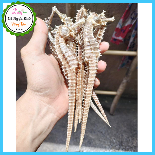 Cá Ngựa Khô Vũng Tàu Size ĐẠI 16 - 20 Cm  do Tàu Cá Nhà Mình Đánh Bắt