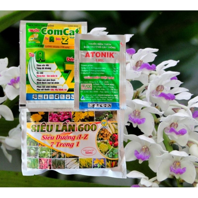 Bộ 3 siêu kích rễ, xanh lá, mướt lá cho hoa lan hồ điệp, phong lan, lan đột biến, hoa lan bạch hạt hải âu