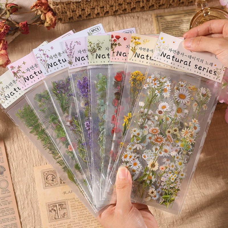 Set 6 tấm sticker trong suốt HOA LÁ DƯƠNG SỈ HOA HỒNG ĐỎ LÁ TÁO MIMOSA LAVENDER HOA CÚC dán Bullet Journal thư thiệp quà