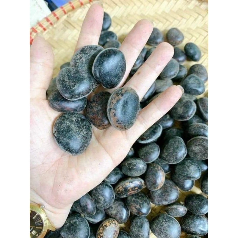 hạt đậu lào 10 hạt