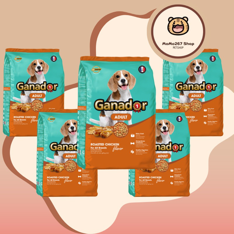 COMBO 5x400g Thức ăn cho chó trưởng thành GANADOR vị gà nướng CHICKEN