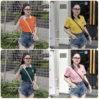 Áo polo nữ thêu gấu, áo polo chất vải poly cá sấu cho nữ