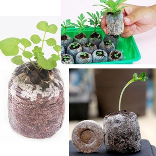 Bộ 10 viên nén ươm hạt xơ dừa - viên nén ươm hạt